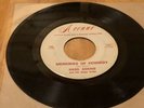 45 RPM Hasil Adkins AVENUE  VERY RARE MEMORIES OF KENNEDY/MY HOMETOWN SCARCE