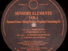 Sensory Elements - Vol 1, 12