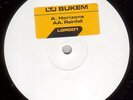 LTJ Bukem - Horizons / Rainfall, 12