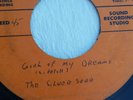 GARAGE ROCK?  THE SILVER SEED ON ROSSI GIRL OF MY DREAMS / WALKIN ALONE