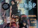 WASP - Animal (live) - 12
