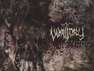 VOMITORY - CARNAGE EUPHORIA - LP RED VINYL BRAND NEW 2011