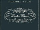 Mumford & Sons Winter Winds UK 7