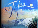 ZZ TOP TEJAS (5th STUDIO ALBUM) RARE ORIGINAL 1976 LONDON LP BEAUTIFUL