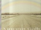 VINCENT GALLO - when LP