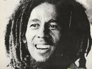 Bob Marley & The Wailers Kaya Island Records Vinyl LP