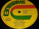 Mighty diamonds gates of Zion 12