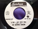 Rare Psych 45 : The Growing Concern   A Boy I Once Knew Well   Mainstream 685