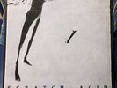 SCRATCH ACID Fundamental HOLY1 vinyl lp big black jesus lizard nirvana David Yow