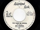 SWAMP ROCK/DOOWOP-RAY FOURNIA W/ THE ROCKING REBELS-YOU DONE ME WRONG/SETTLE DOW
