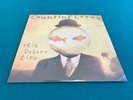 Counting Crows - This Desert Life - Vinyl Album - NEW & SEALED