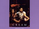 PRINCE & THE NEW POWER GENERATION - CREAM   VINYL LP SINGLE NEW