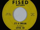 Funk 45 LITTLE ED It's A Dream/Struggling For Survival on Fised