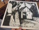 New sealed  Naomi Lewis Cottage Songs 1975 Folk Psych rock Rare LP vinyl record