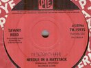 TAWNY REED**NEEDLE IN A HAYSTACK**MOD**SOUL**DANCER**HEAR IT