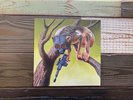 CIRCA SURVIVE - SUNNY DAY REAL ESTATE Split 7