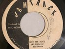 THE MERITS - ROT MY SOUL - JAM TRACK ( RARE ROOTS 7 )