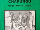 Mazai Mbira Group ?– Chapunga -  Zimbabwe 1985 - Vinyl lp