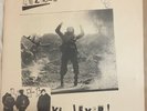 BIZEX B Vi Lever LP original Sweden 82 HC Rare KBD Oi  Hardcore