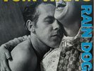 TOM WAITS- Rain Dogs - 1985 Island 90299-1 - Record And Cover NM.