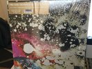 Pink Floyd LP Piper At The Gates Of Dawn Mono RSD in Shrink w/ Hype Stickers