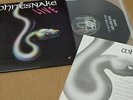 WHITESNAKE LIVE monsters of rock 1992 KOREA LP 12