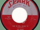 ROBINS Riot in Cell Block #9 / Wrap It Up 45rpm Spark 1954 doo-wop original