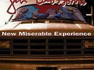 New Miserable Experience Gin Blossoms LP 12 Inch Album 33 rpm Import
