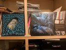 Hum - Downward Is Heavenward Vinyl 2xLP Art Print Jay Ryan Signed