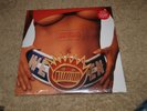 Ween Chocolate and Cheese 180 gm 2009 reissue LP SEALED from Plain Recordings