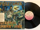The Fuzztones - Lysergic Emanations - 1986 1st Press Promo (NM) Ultrasonic Clean