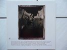 Pixies - Surfer rosa LP Rough Trade