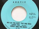 NORTHERN SOUL Honey & The Bees WHY DO YOU HURT THE ONE Arctic 45 rare Canadian
