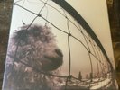 PEARL JAM VS. 1993 LP US FIRST PRESSING FREE SHIPPING