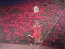 FEIST - Pleasure - Vinyl (gatefold 2xLP (side 4 etched))