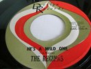 NORTHERN SOUL 45 RPM - THE REGINAS on DEBLYN RECORDS HE'S A WILD ONE / HE'S A