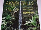 ORGAN SYNTH AKAKA FALLS SEALED LP LOUNGE ELECTRO JAZZ SYNTHESIZER AMBIENT Hawaii