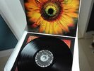 LACUNA COIL autographed original Viny LP Comalies (2002)