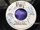 Rare Georgia Hard Rock 45 : Magnum Band   You Can't Have It   Perfection Sound