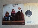 Groundhogs - Solid Vinyl
