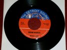 RARE GARAGE PSYCH 45 MICHAEL JOHN-DREAM WORLDS THE DETROIT SOUND 7