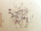 Frightened Rabbit - The Midnight Organ Fight -   NEW 12
