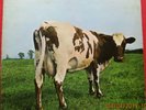 PINK FLOYD - ATOM HEART MOTHER - 1970 G/FOLD LP  - SHVL 781 - A1G/B1G 1ST VG/VG+