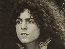 A Beard Of Stars T-Rex / Tyrannosaurus Rex USA vinyl LP album record BTS-8818