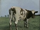 Pink Floyd Atom Heart Mother - EMI - EX UK vinyl LP album record SHVL781