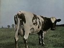 Pink Floyd Atom Heart Mother - EMI/All Rights vinyl LP album record UK SHVL781