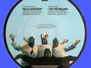 THE BEATLES PICTURE DISC 45 HELLO GOODBYE / I AM THE WALRUS