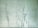 Christian Loffler - A Forest LP Brand New Sealed Vinyl KI Records