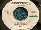 The Four Exceptions -A Sad Goodbye/You Got the Power 45 Parkway northern soul G+