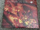 Paul McCartney - Flowers In The Dirt LP - Capitol Shrink Master Disc DMM NM
